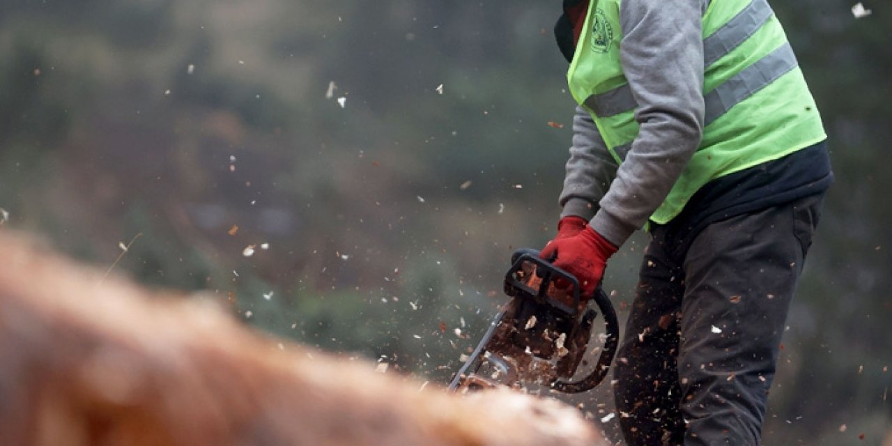 Bursa’da kestiği ağacın altında kalan işçi feci şekilde can verdi