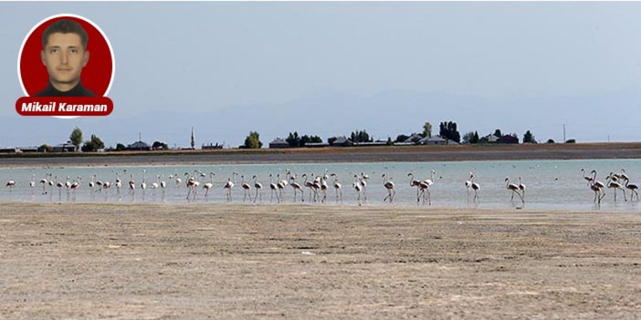 Kuraklık ve bilinçsiz sulama Arin Gölü'ne büyük zarar verdi
