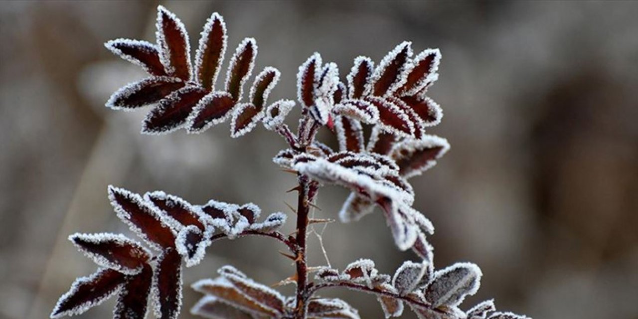 Konya'ya kış geldi! Bu gece 0 dereceyi görecek!