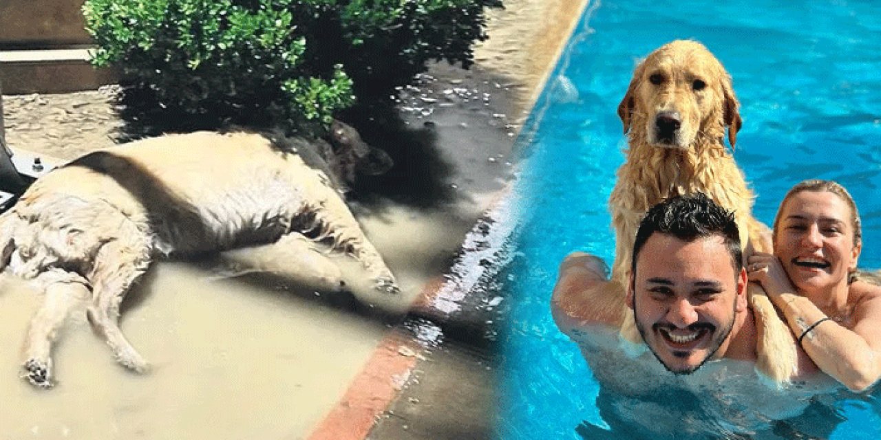 İzmir'de çocuk parkında öldüren ihmal