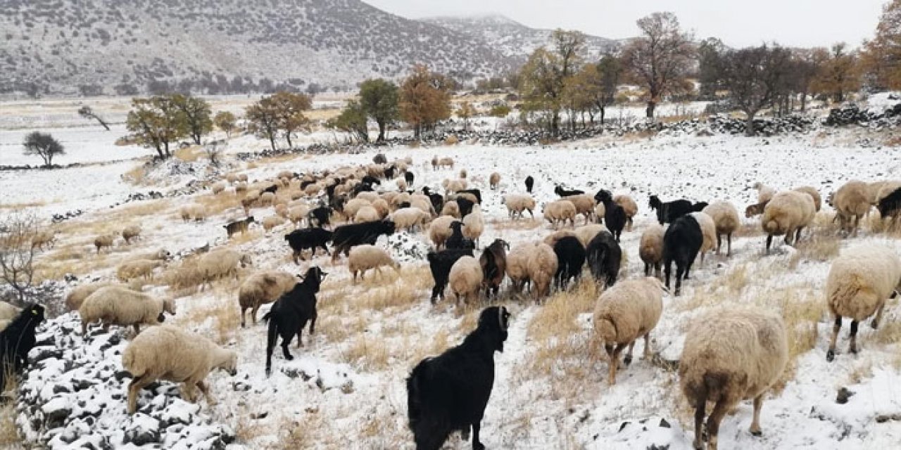 Yaylacılar kar yağışından dolayı erken dönüş yaptı