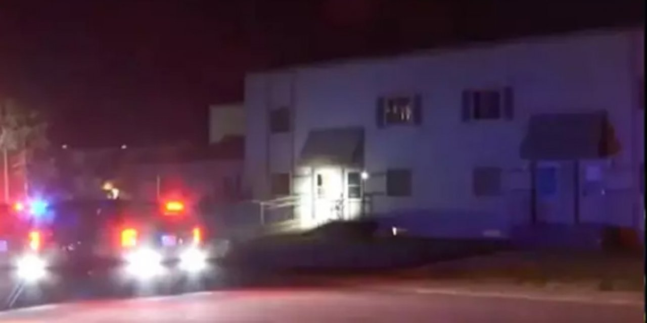 3 yaşındaki çocuk 2 yaşındaki kardeşini öldürdü