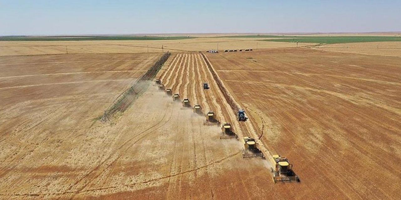 Tarımsal destekleme ödemesi bugün çiftçilerin hesaplarına aktarılıyor