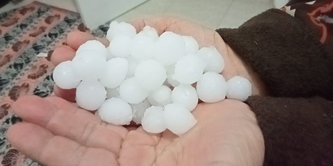 Mersin'i dolu vurdu: Misket büyüklüğündeler!