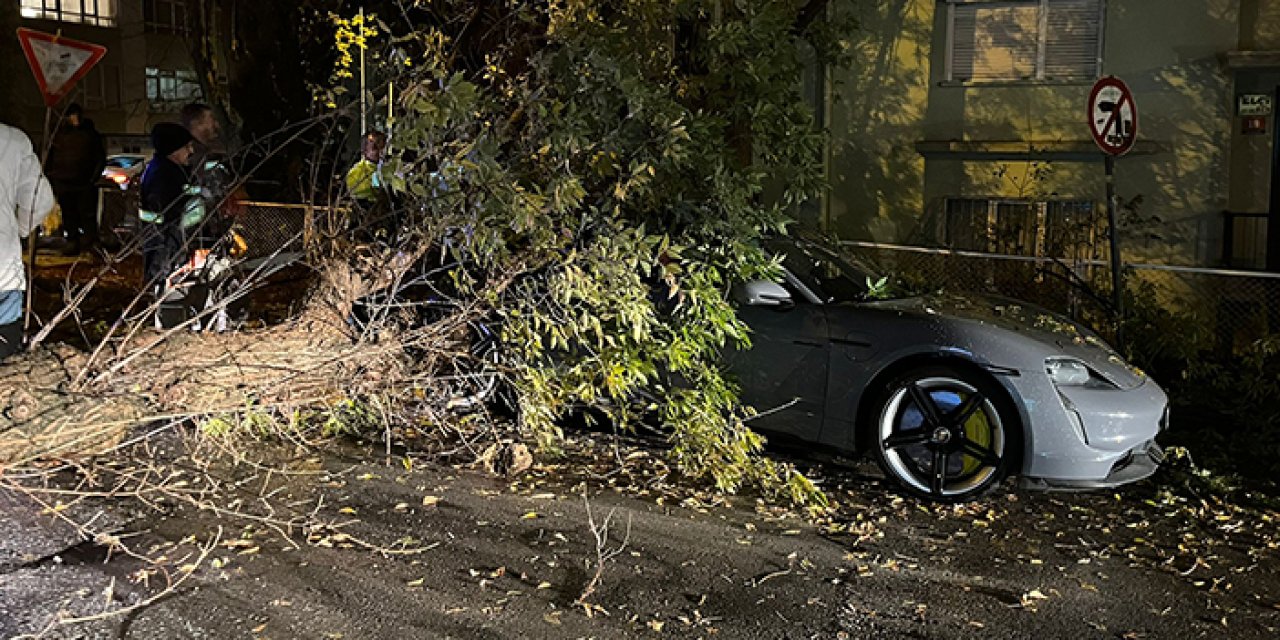 Ankara'da lüks aracın üzerine ağaç devrildi