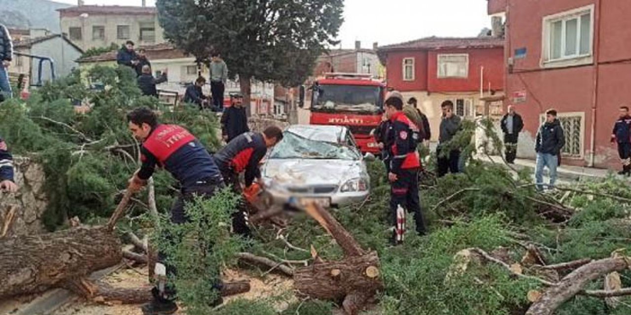 Amasya’yı fırtına vurdu: Ağaç otomobilin üzerine devrildi
