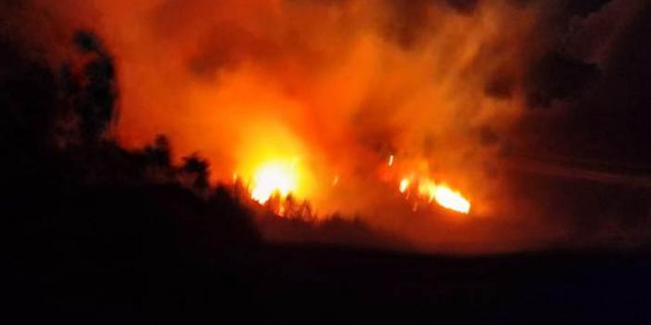 Trabzon’da orman yangını: 2 itfaiye eri dumandan etkilendi