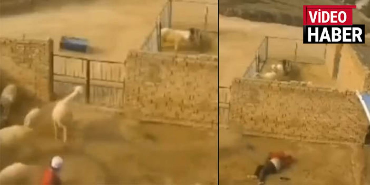 Ahırda cesedi bulunmuştu: Ölüm nedeni ortaya çıktı!