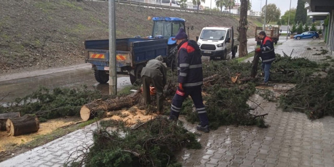 Fırtına sonrası anlamlı geri dönüşüm hareketi