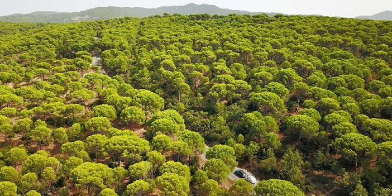 Bu işin günlüğü 1500 TL: En çok İzmir'de çıkıyor