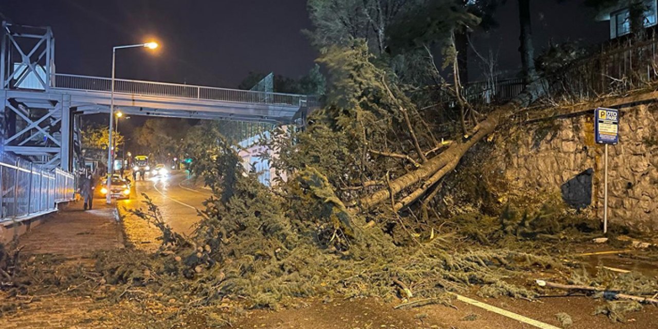 Eğitime fırtına engeli: Okullar 1 günlüğüne tatil edildi