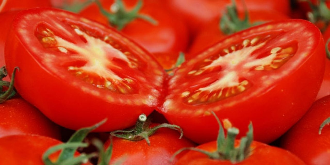 Ayaş domatesi coğrafi işaret olarak tescillendi