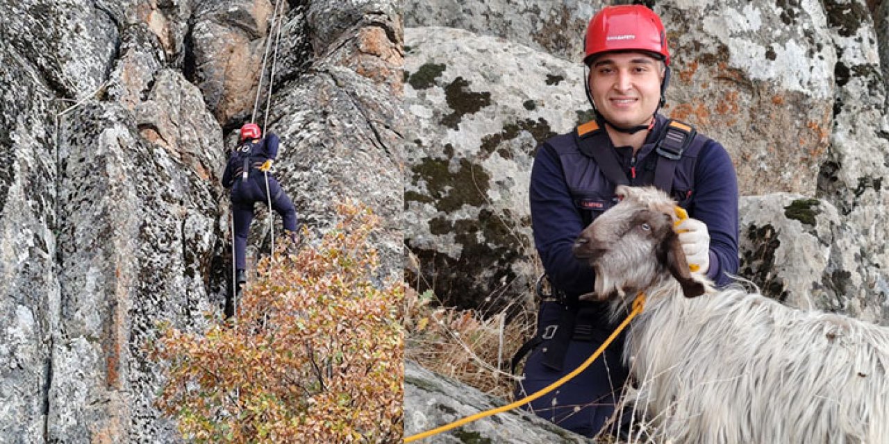 Kayalıklarda mahsur kaldı: Keçiyi 4 saatte kurtardılar