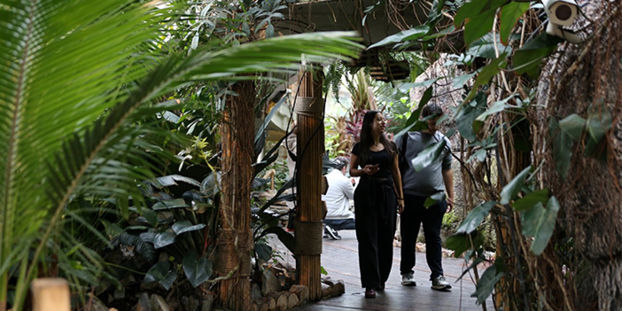 Konya'daki Tropikal Kelebek Bahçesi'ne ziyaretçi akını