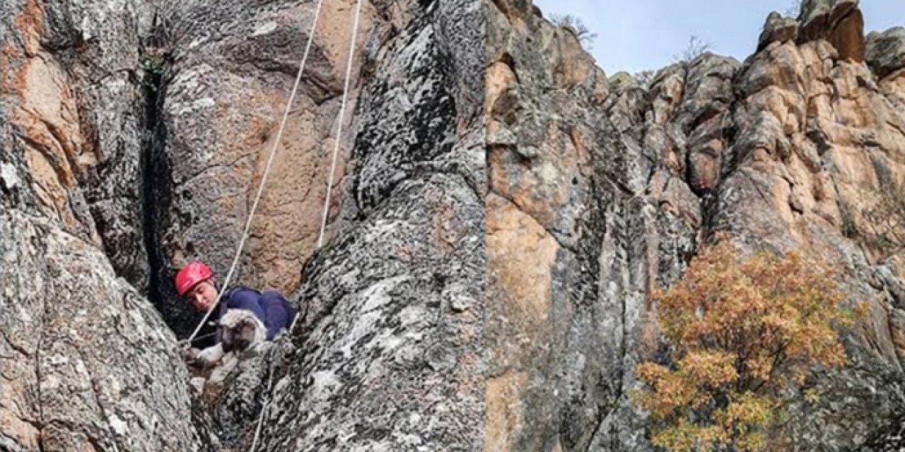 3 gündür kayalıklarda mahsurdu! Konya İtfaiyesi’nden büyük başarı
