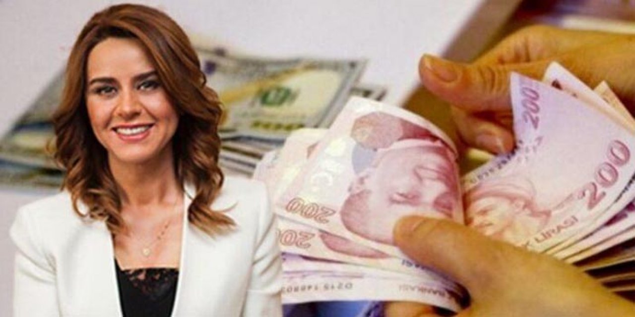 Seçil Erzan'a 500 bin dolar veren Zabıtanın ifadesi ortaya çıktı