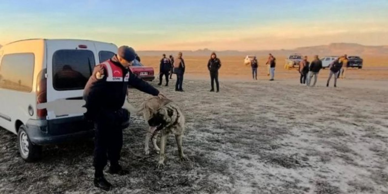 Bahisle köpek dövüştürenlere ceza yağdı!