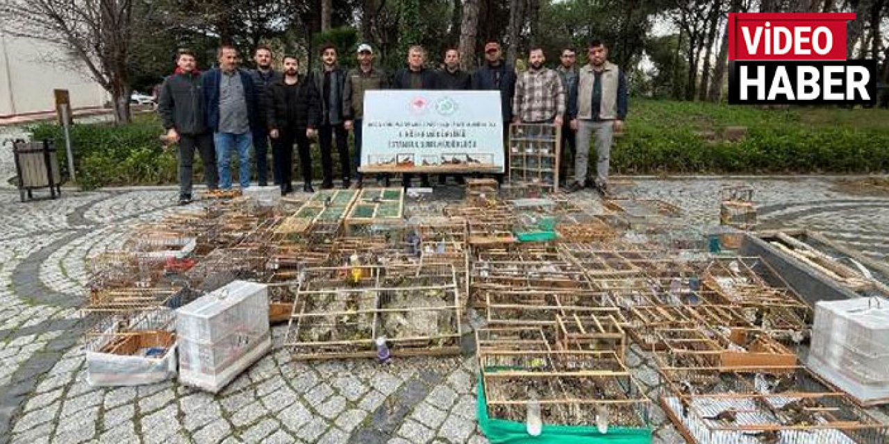 Avlanması yasak kuşları yakalayıp satan 24 tacire büyük ceza