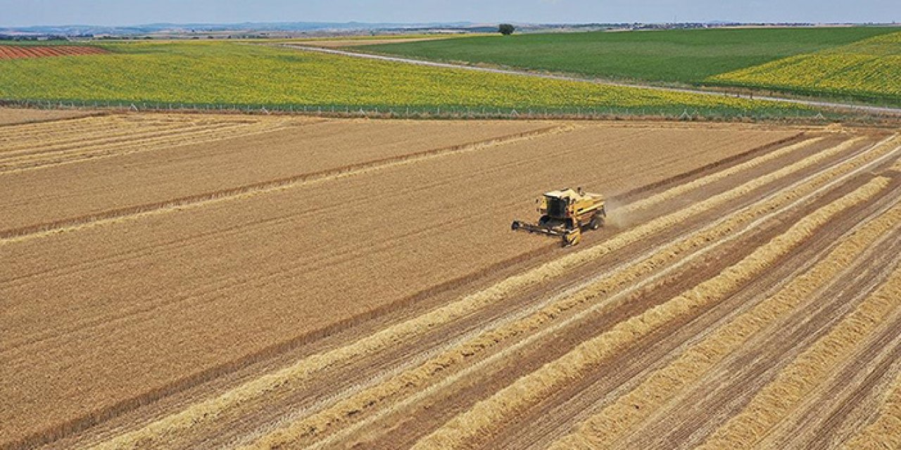 Tarım için dev adım: İşlenmeyen tarım arazileri tespit edilip kiralanacak