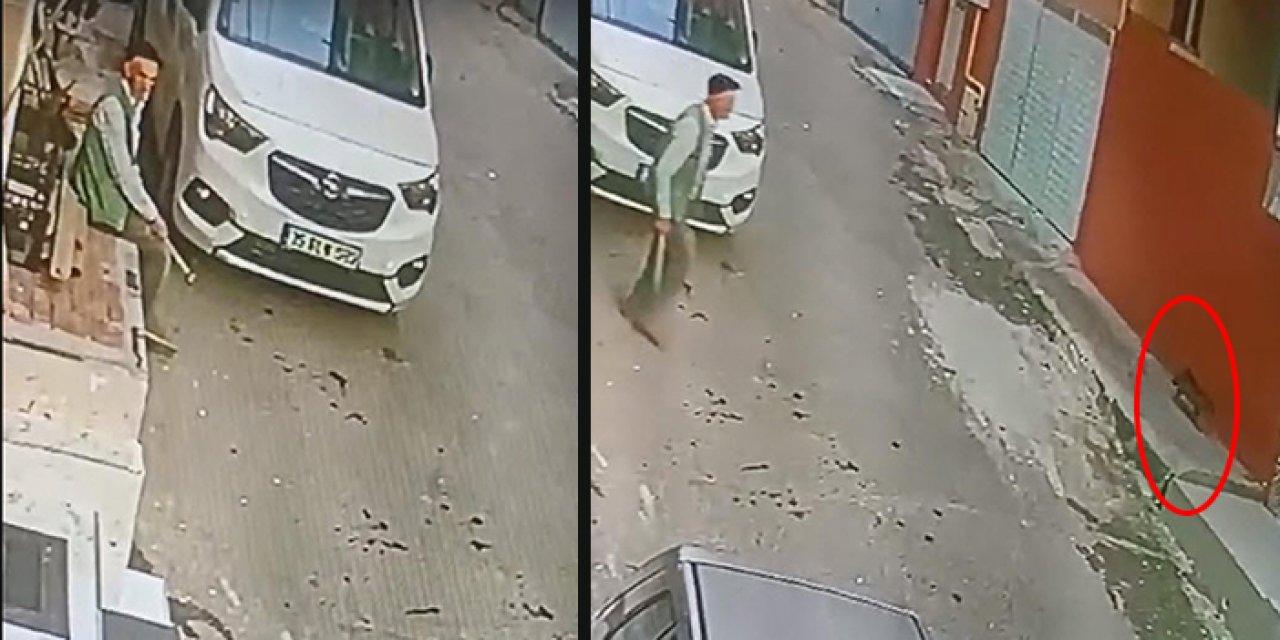 İzmir'de sokak kedisine keserle saldırdı