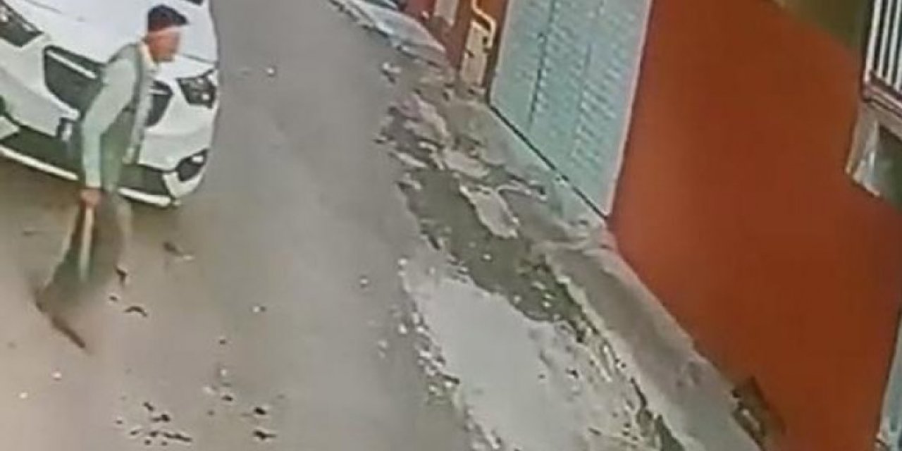 İzmir'de şok olay: Sokak kedisine keserle saldırdı