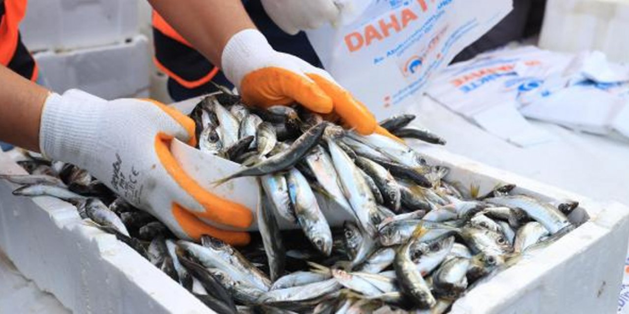 Sultangazi balığa doydu