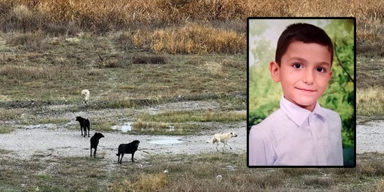 Tunahan'ın durumu iyiye gidiyor: Keçiören’de 20 köpek tarafından parçalanmıştı!