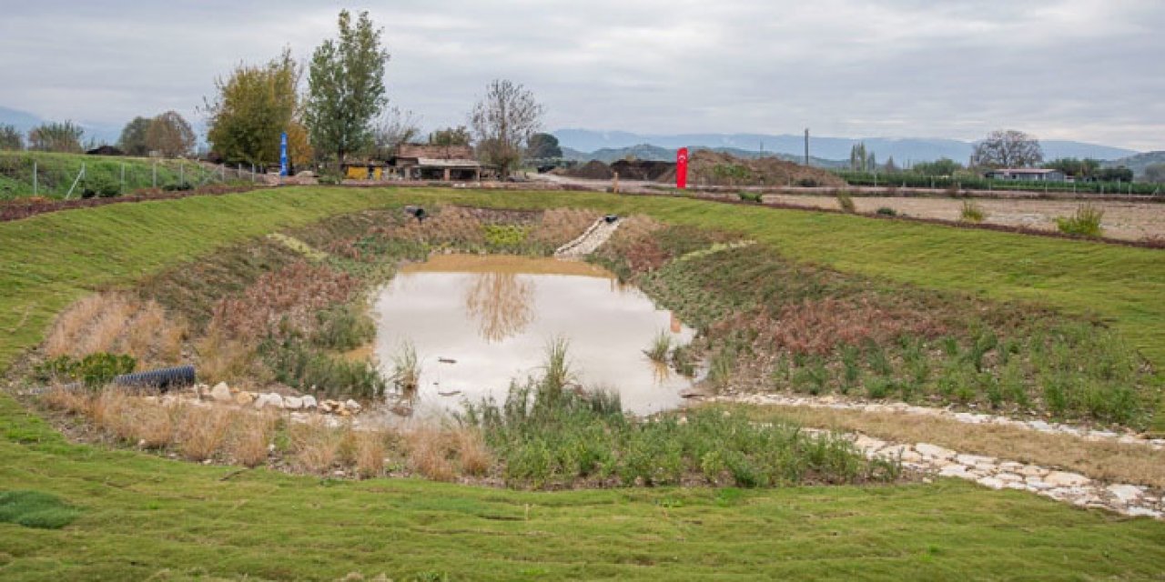 Türkiye'de bir ilk: İzmir Ödemiş'te yapıldı