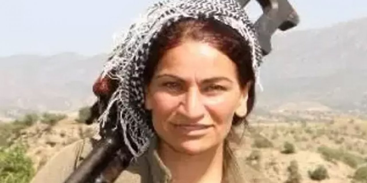 Ruken Zilan kod adlı terörist Zeynep Sevim nereli, nerede doğdu?