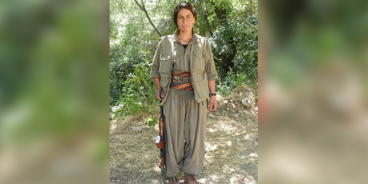 MİT'ten bir çizik daha