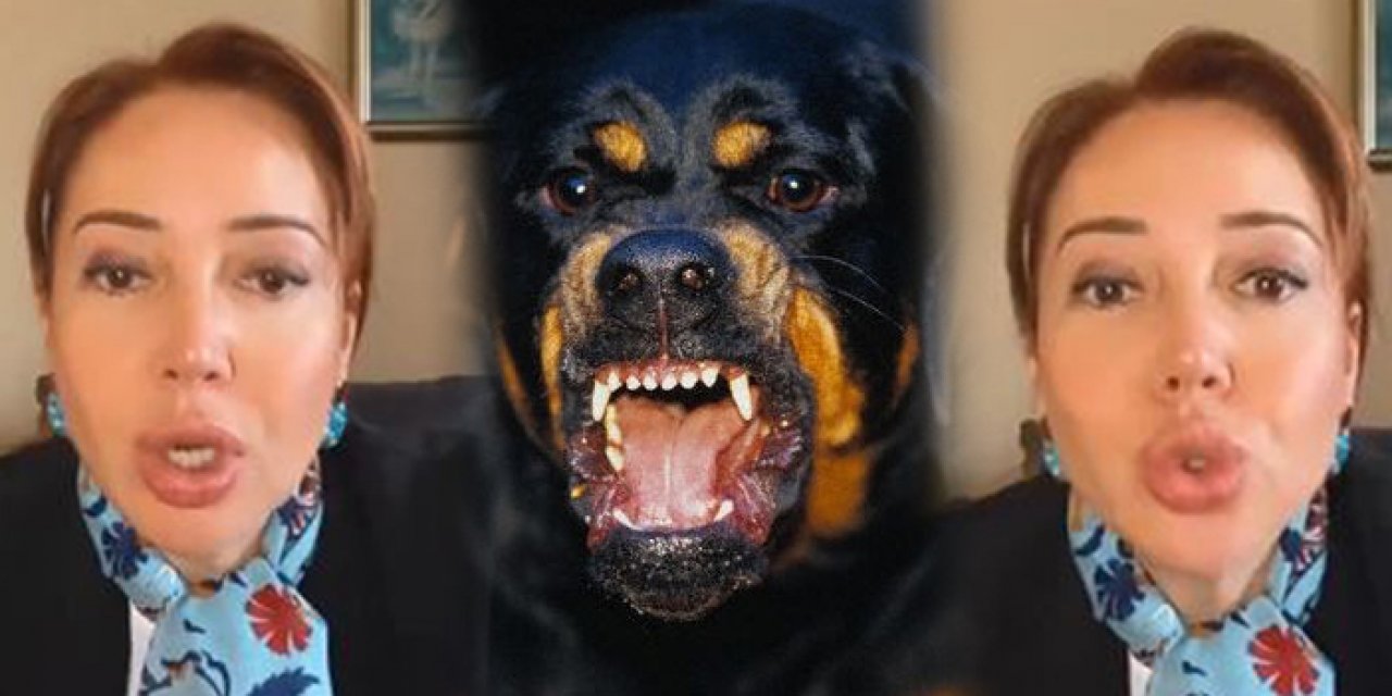 Sözde hayvanseverden tuhaf sözler: Biz çocukları toplatın diyor muyuz?