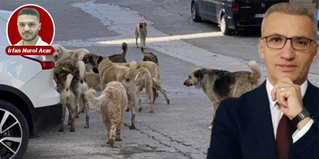 Ünlü eğitimci yazara şok! "Çocuklar ölmesin" dedi işinden oldu