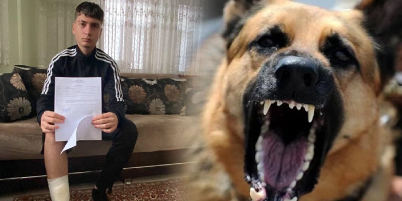 Karabük'te 14 yaşındaki Kaan başıboş köpeğin saldırısına uğradı