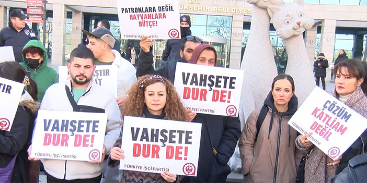 ABB önünde protesto: "Çözüm kısırlaştırmak"