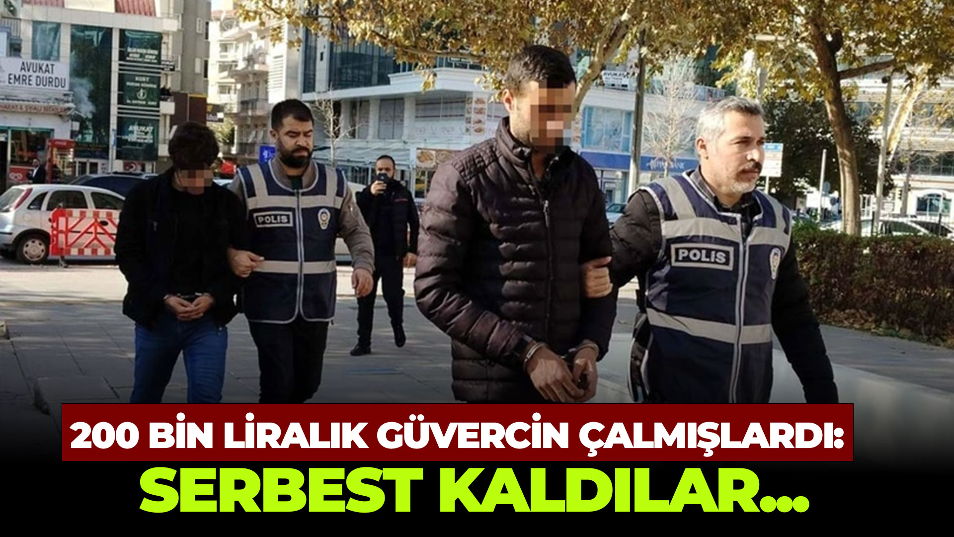200 bin liralık güvercin çalmışlardı: Serbest kaldılar...