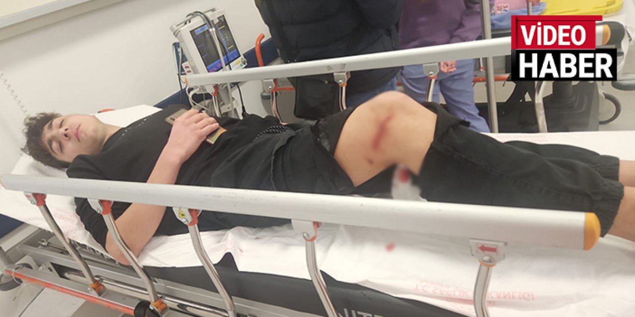 Yine Ankara yine köpek terörü: Öğrencilere kabus oldular!