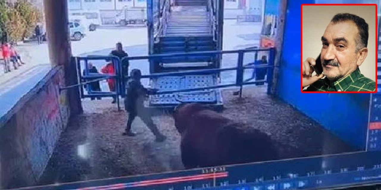 Boğanın saldırdığı mezbaha çalışanı hayatını kaybetti: O anlar kameraya yansıdı