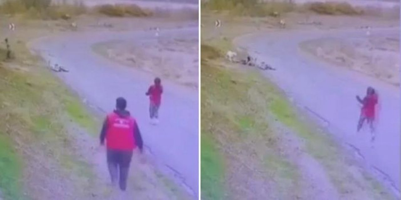 Ankara'da yine köpek terörü! 9 yaşındaki çocuk yaralandı