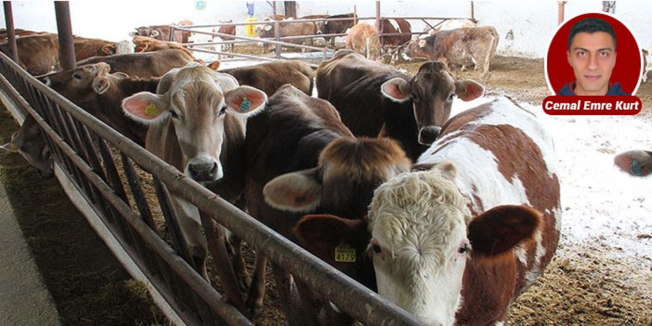 Kamil Özcan: Aile işletmelerine pozitif ayrımcılık yapılmalı