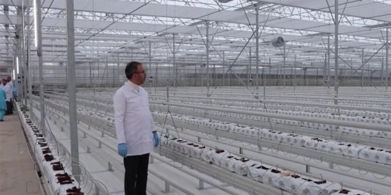 Manisa'da dev yatırım! Tonlarca üretim yapılacak