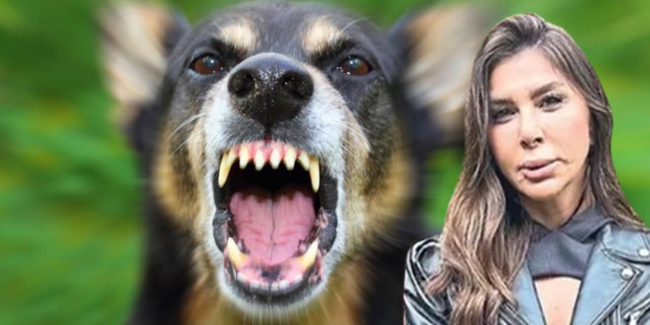 İzmir’de köpek terörü! Üzerine atlayıp dudağını kopardı!