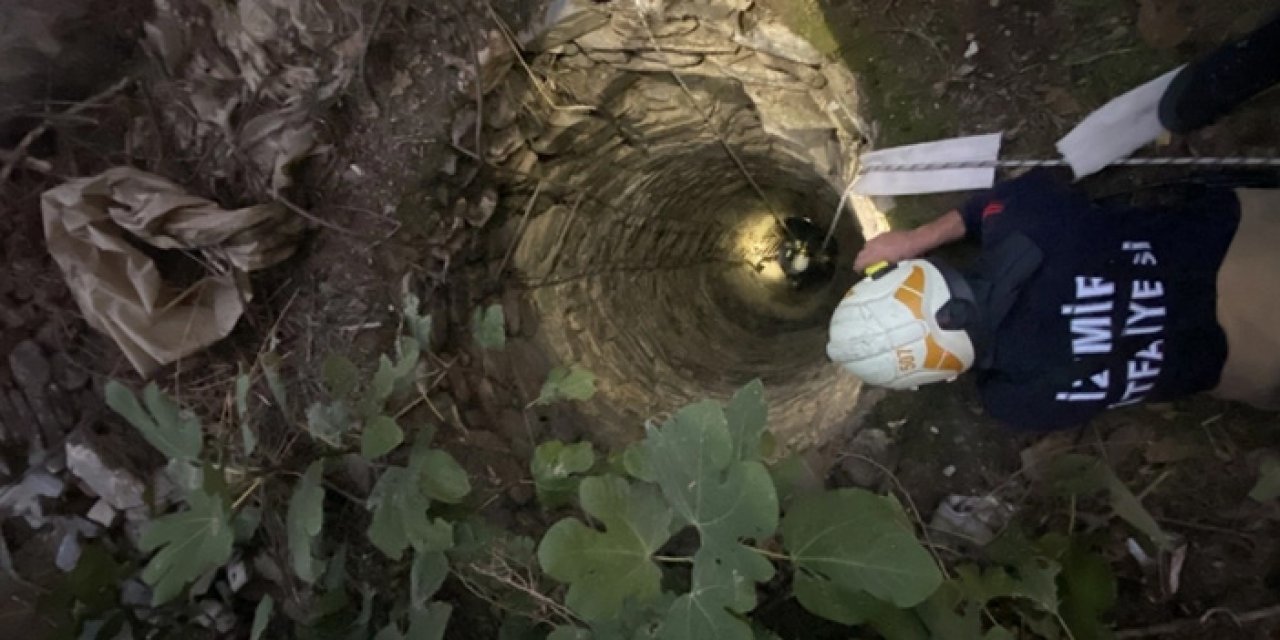 İzmir'de su kuyusuna düşen köpek kurtarıldı