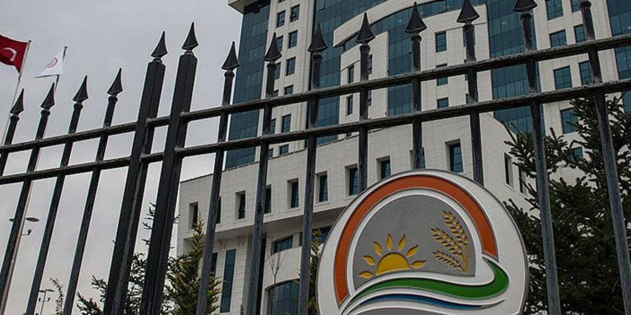 Tarım ve Orman Bakanlığı personel alımı yapacak!