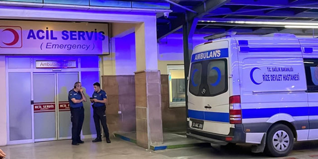 Başıboş sokak köpekleri 70 yaşındaki kadını yaraladı