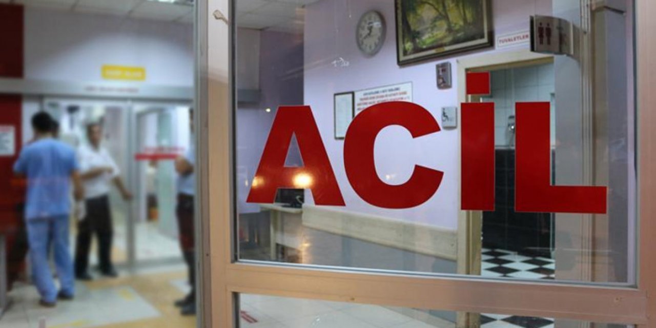 Köpeklerden kaçarken otomobil çarptı