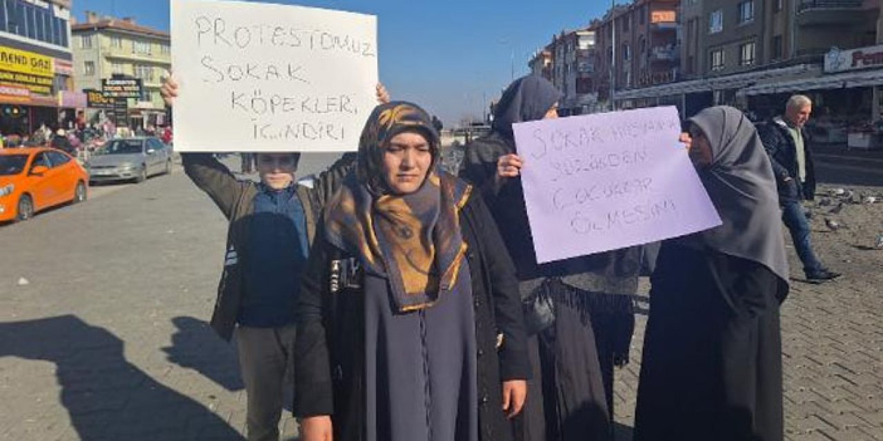 5 kişi katıldı: Ankara'da 'Sokak köpekleri toplansın' eylemi