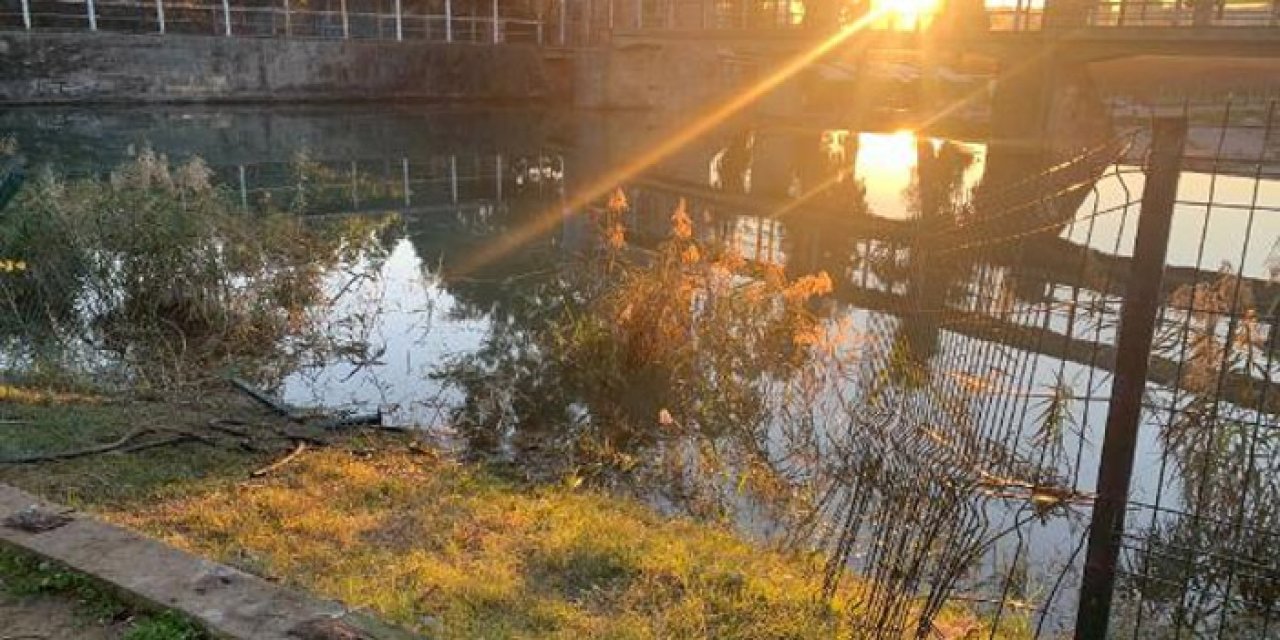 Pikniğe giden aile göle uçtu: 7 kişi yaralandı