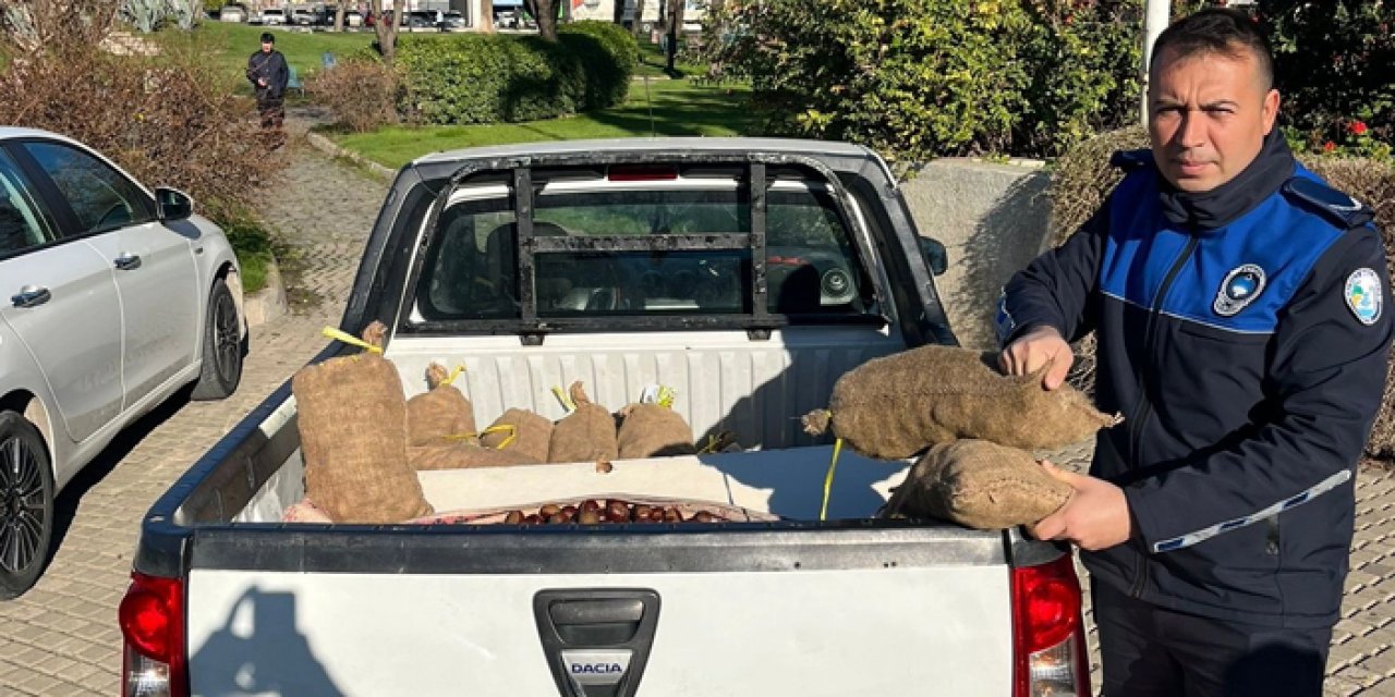 Manisa'da satarken yakalandı: Bunu yiyen zehirlenebilir!