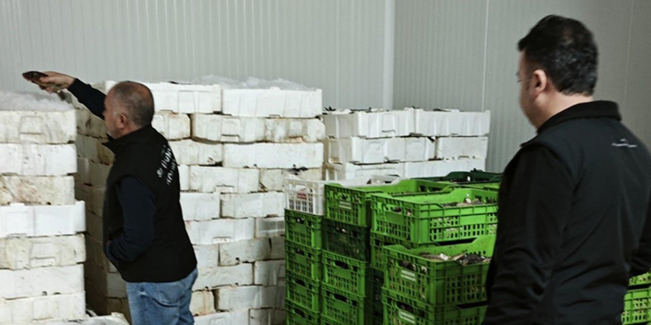 Konya'da balık denetimi: Tek tek incelendi!