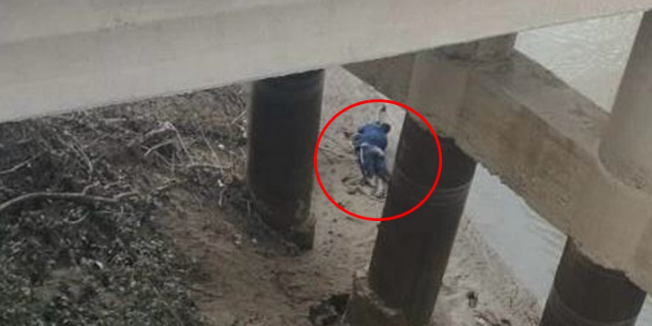 Saplandığı çamur hayatını kurtardı